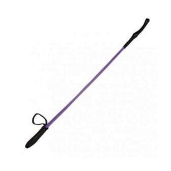 Dog Fancy Walking Stick